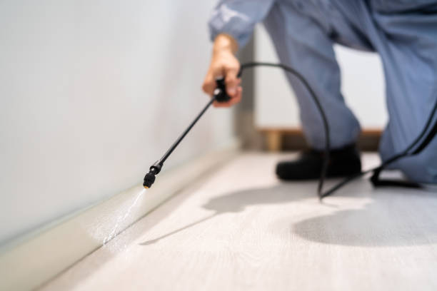 Rodent Entry Point Assessment in East Los Angeles