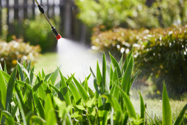Tamper-Resistant Bait Stations for Rodents in East Los Angeles