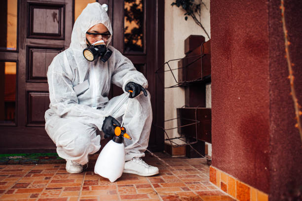 Attic and Crawl Space Rodent Treatment in East Los Angeles